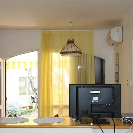 Cattonaro * Šilo