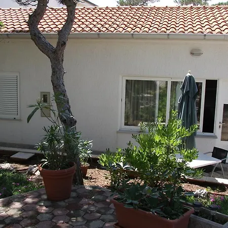 Cattonaro Apartament *