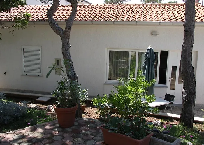 Cattonaro Apartamento *